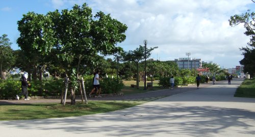 那覇新都心「中央公園」の風景
